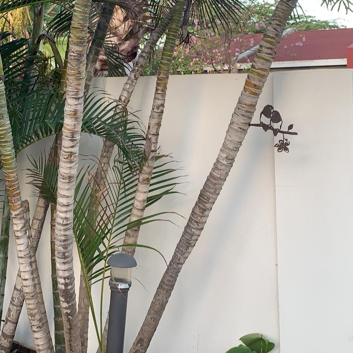 Een witte muur met palmbomen ervoor