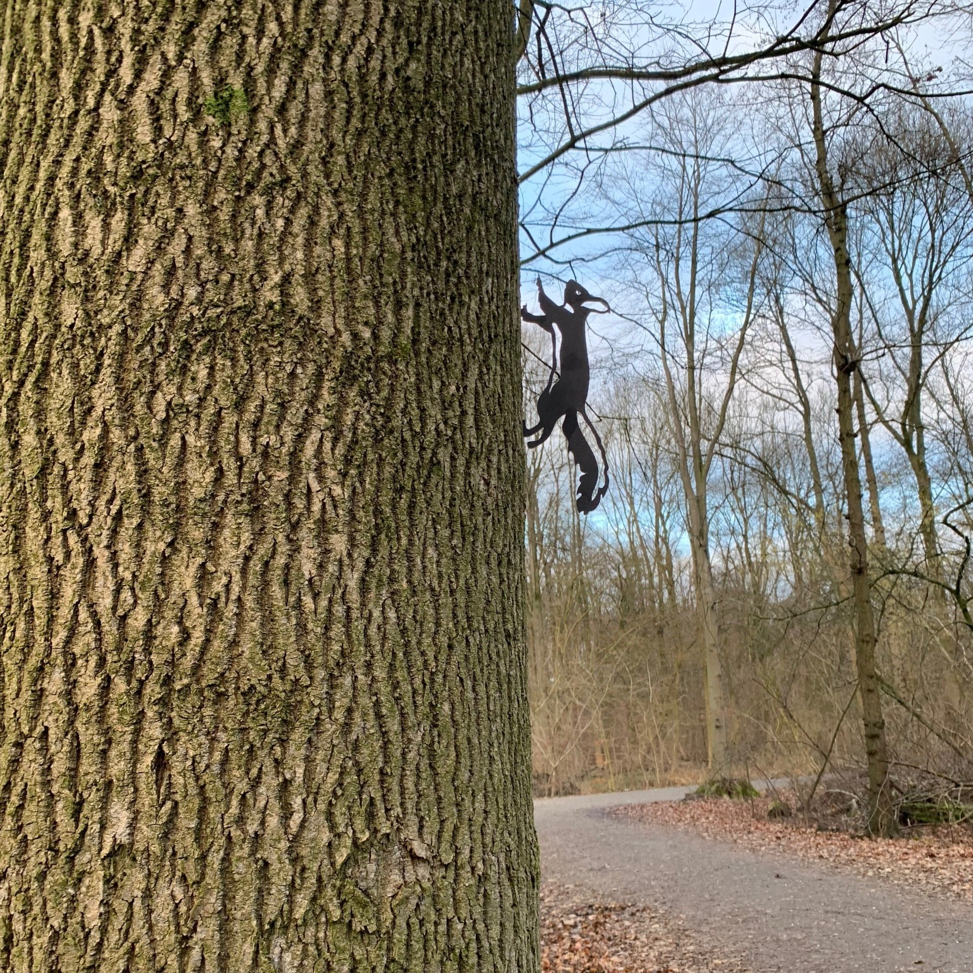 Een eekhoorn klimt in een boom in het bos.