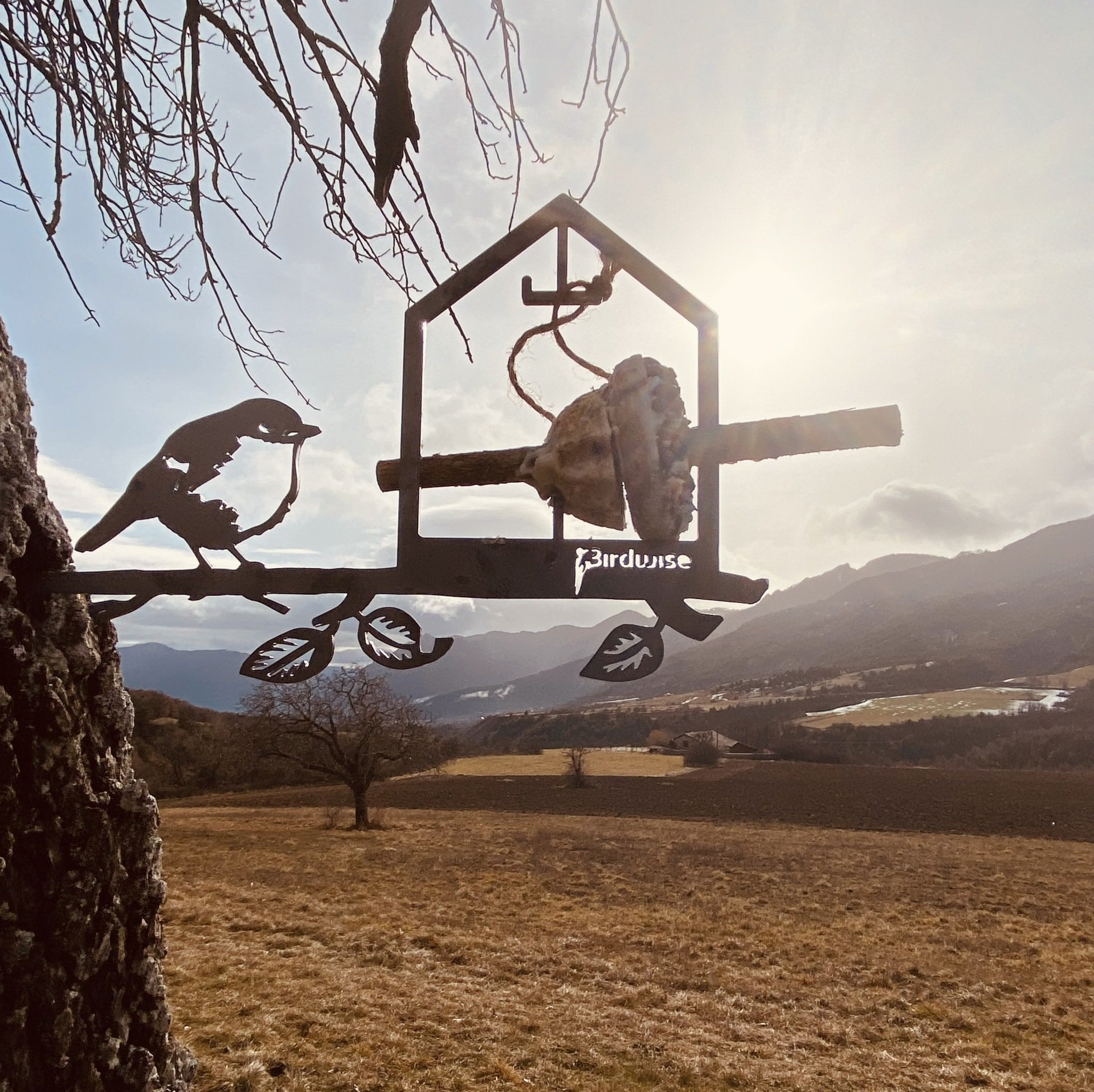 Vogelvoerhuisje Vogelvoerhuisje