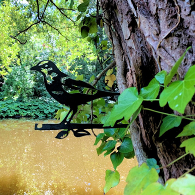 Koolmees Trio Merel 2