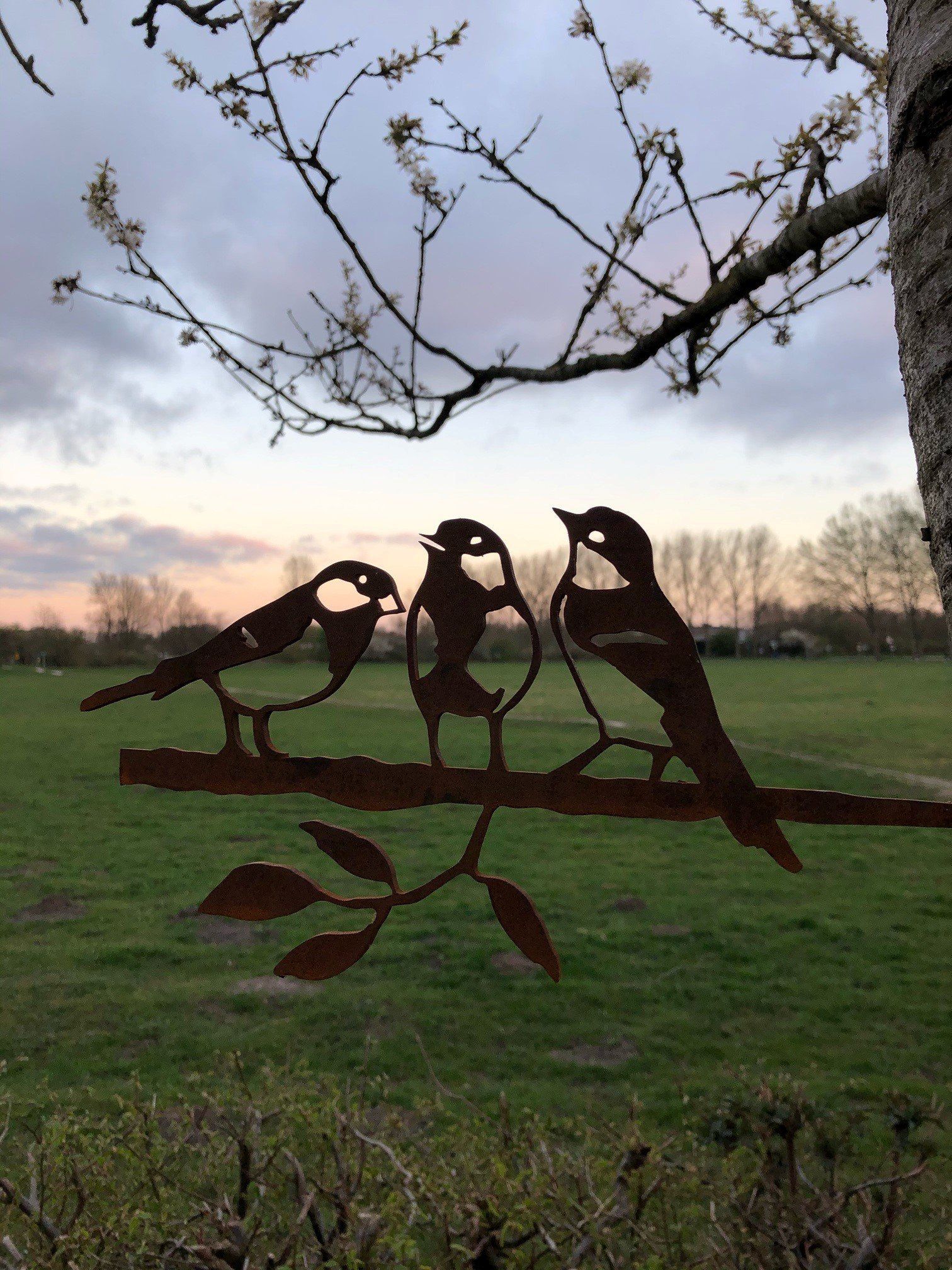 Drie vogels zitten op een tak in een veld.