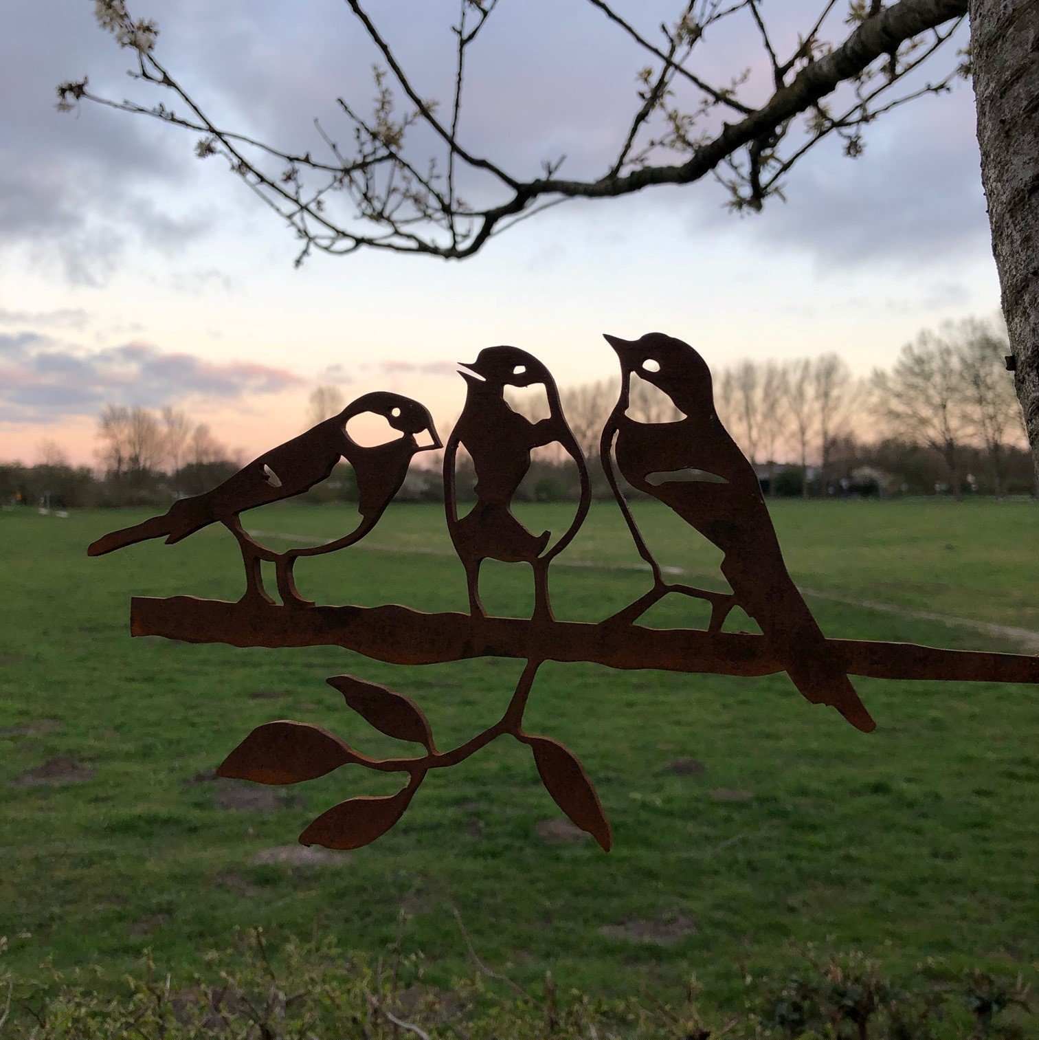 Koolmees Trio Koolmees Trio