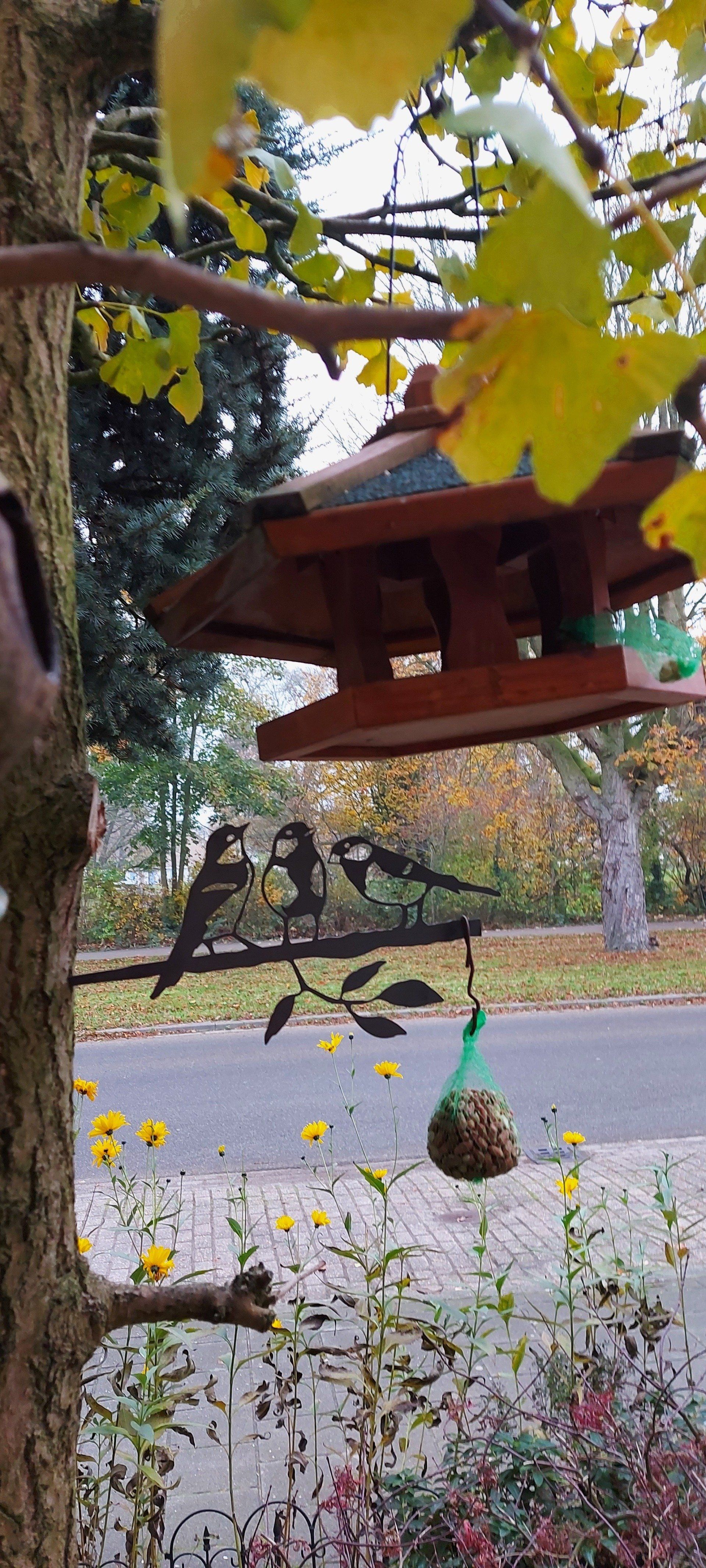 Een voederhuisje voor vogels hangt aan een tak van een boom.