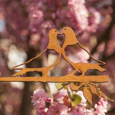Lovebirds Duiven