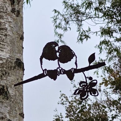 Lovebirds Lovebirds Agapornis