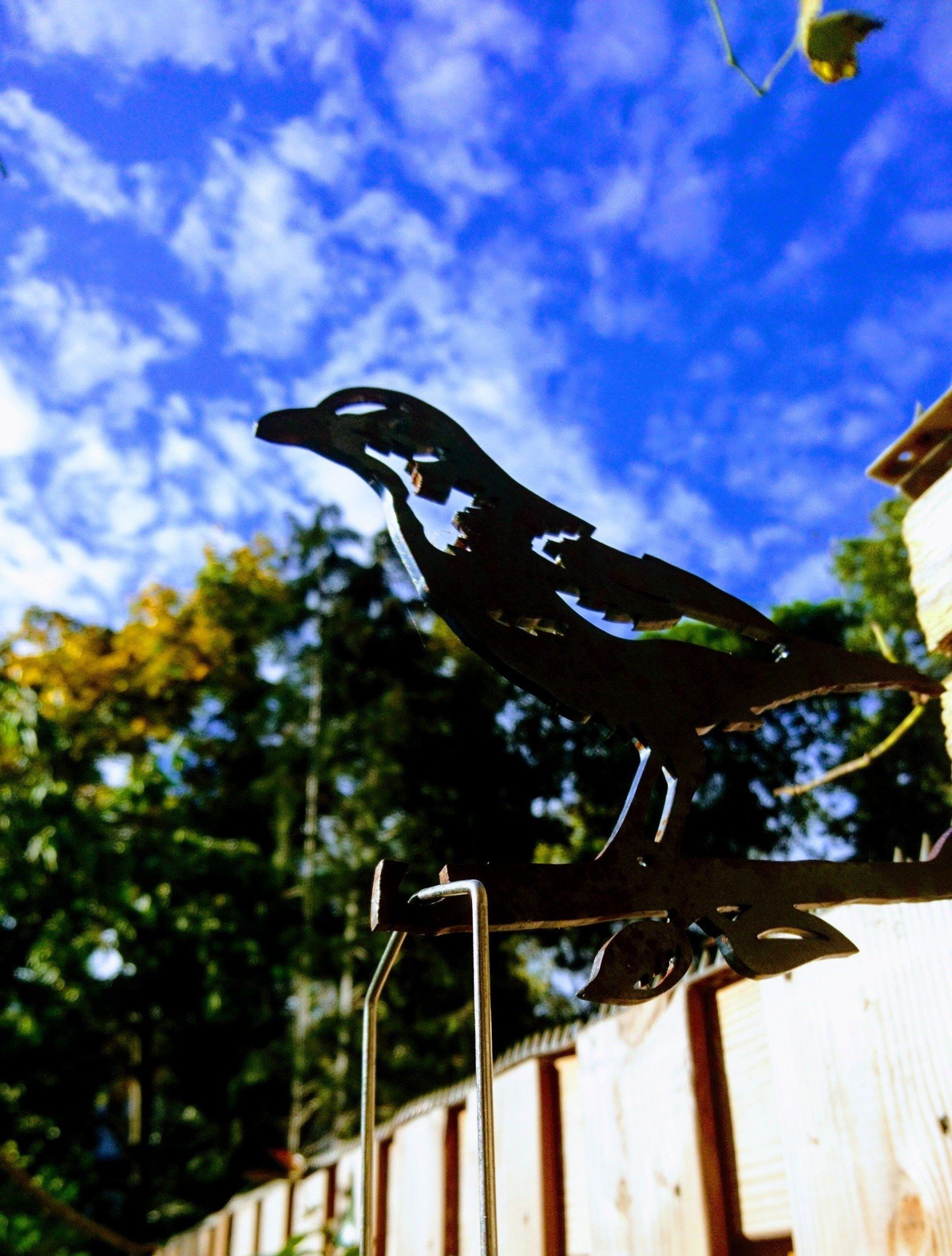 Een silhouet van een vogel op een hek met bomen op de achtergrond