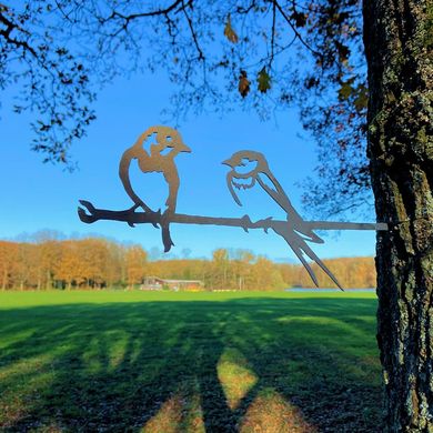 Roodborst stelletje Roodborst stelletje