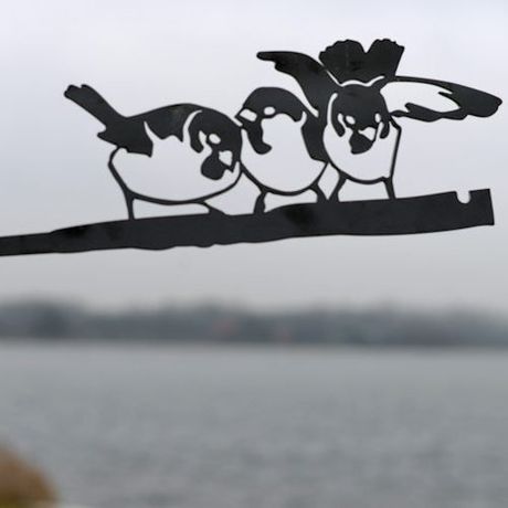Eekhoorn
