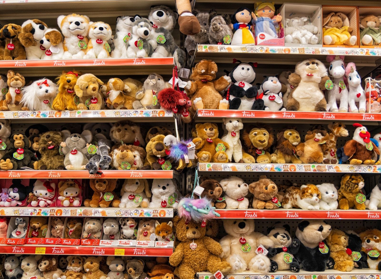 Scaffali traboccanti di vari animali di peluche in un negozio.
