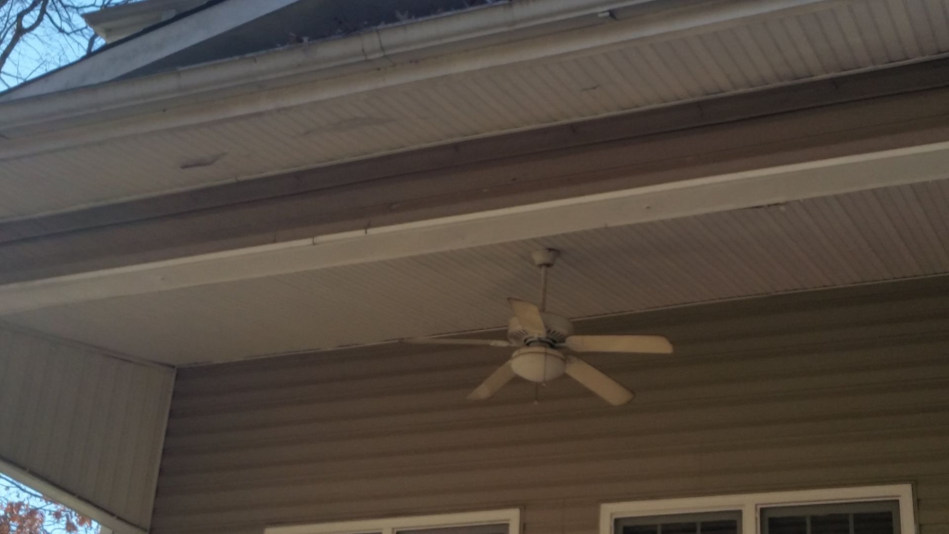 Beige porch ceiling with a ceiling fan. Brown siding, white trim and gutter.