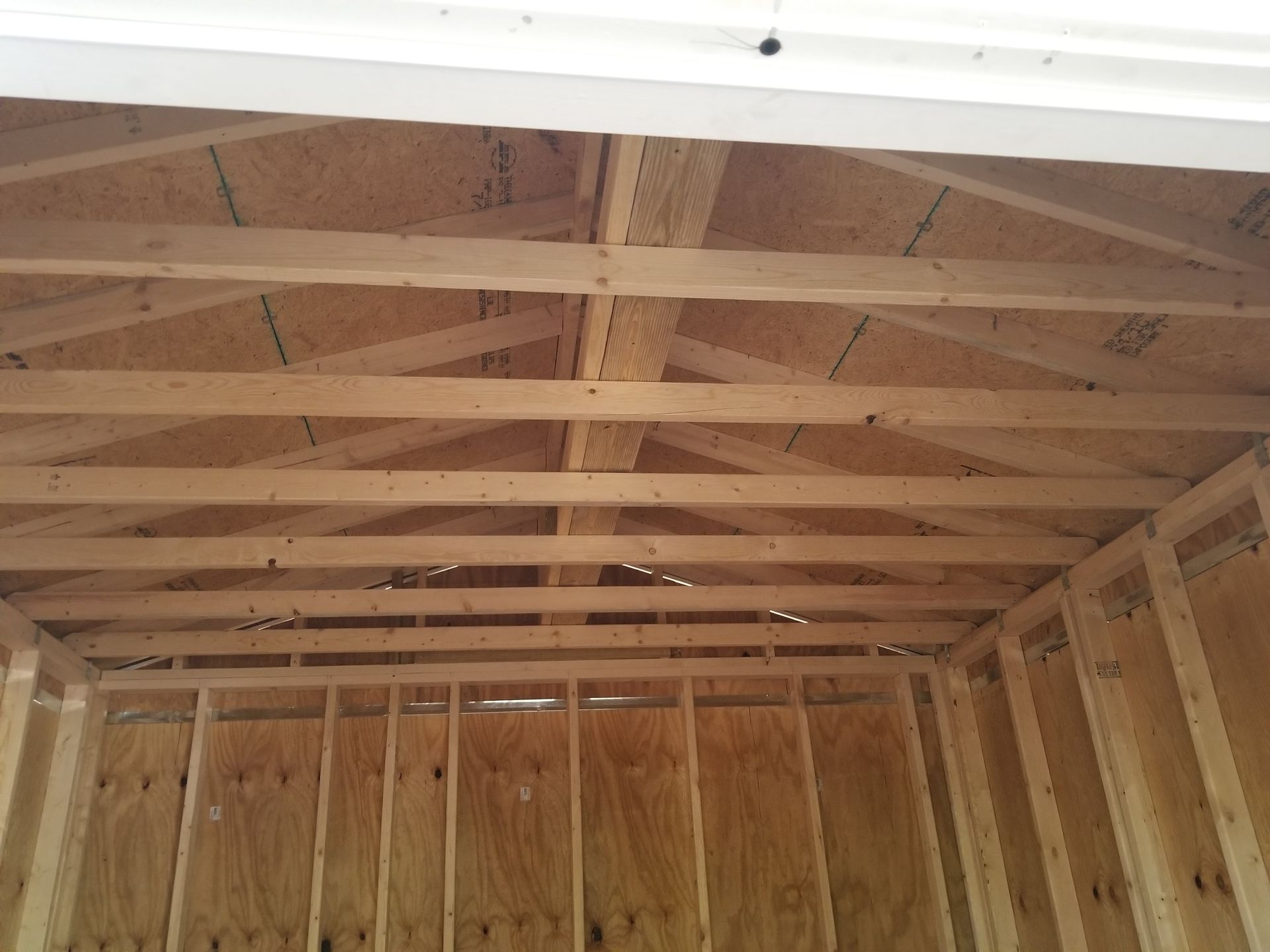 Interior view of a wooden shed under construction, showing framing, trusses, and plywood walls and ceiling.