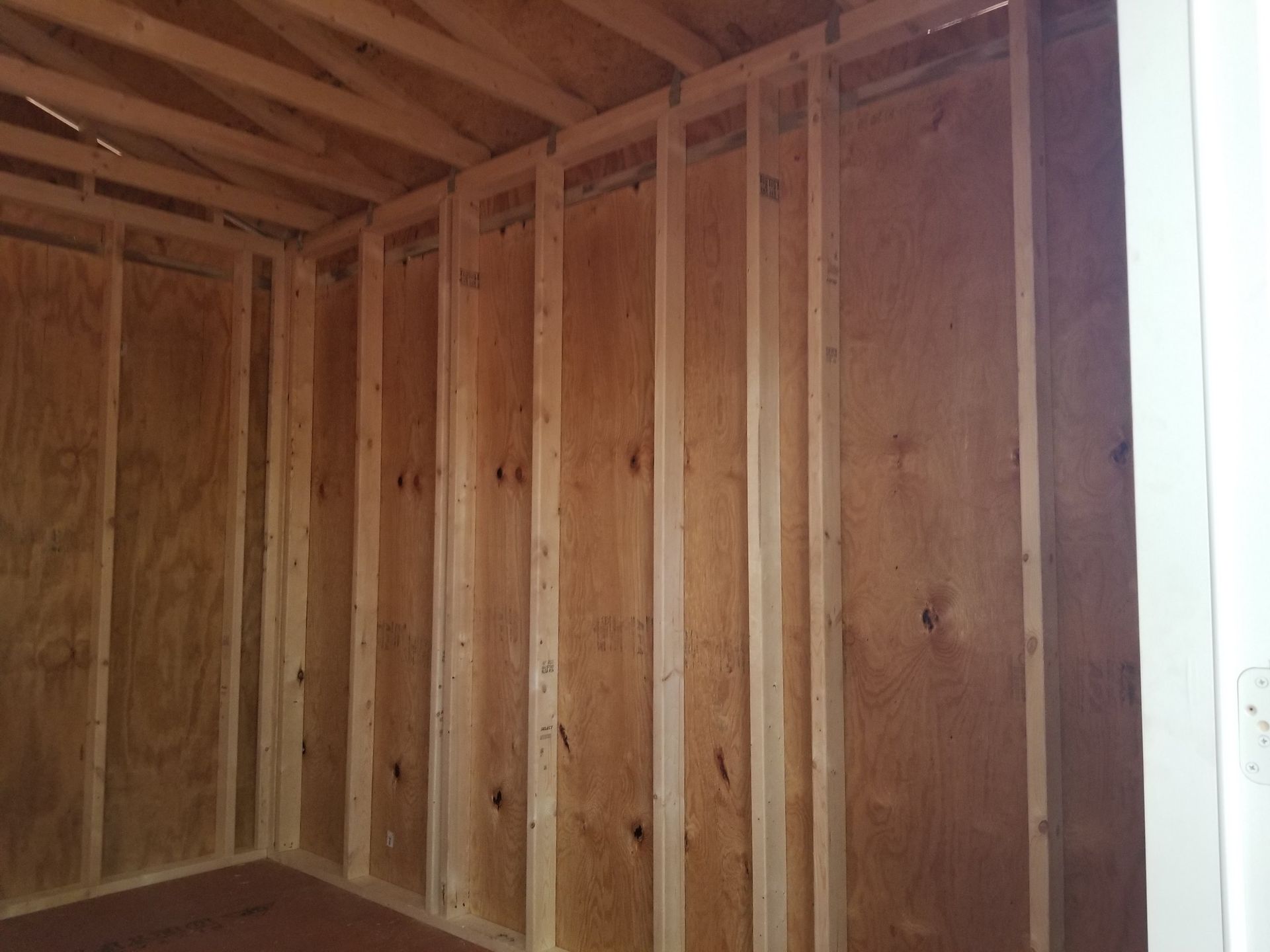 Interior of unfinished wooden shed with studs, plywood walls, and rafters.
