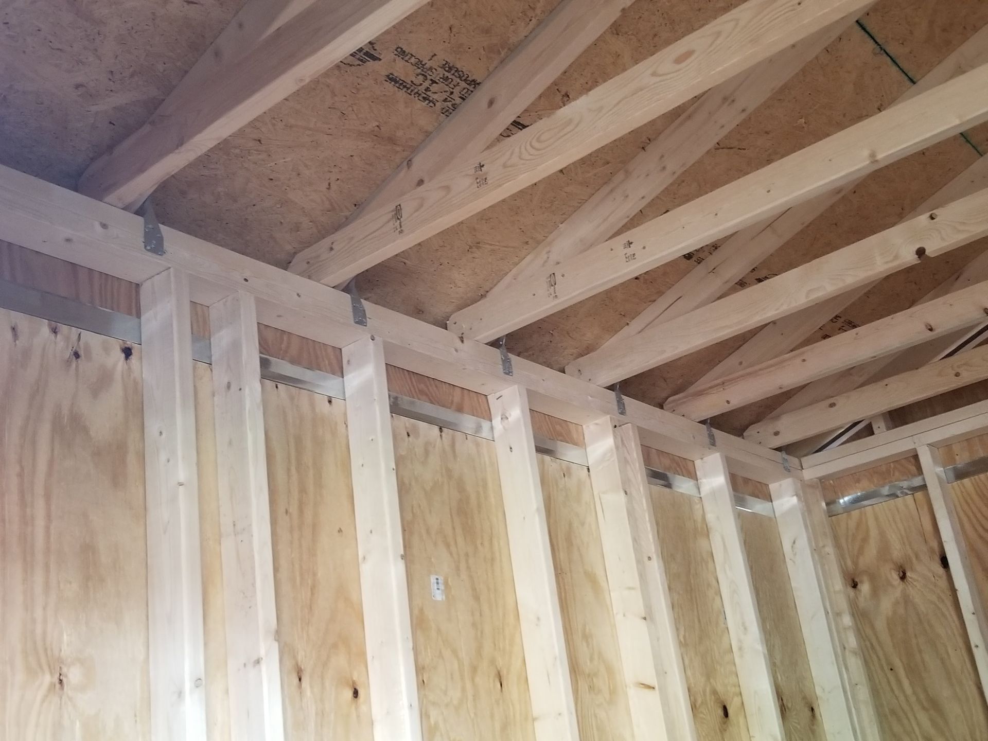 Interior view of a wooden shed under construction with wall studs, plywood, and roof trusses.