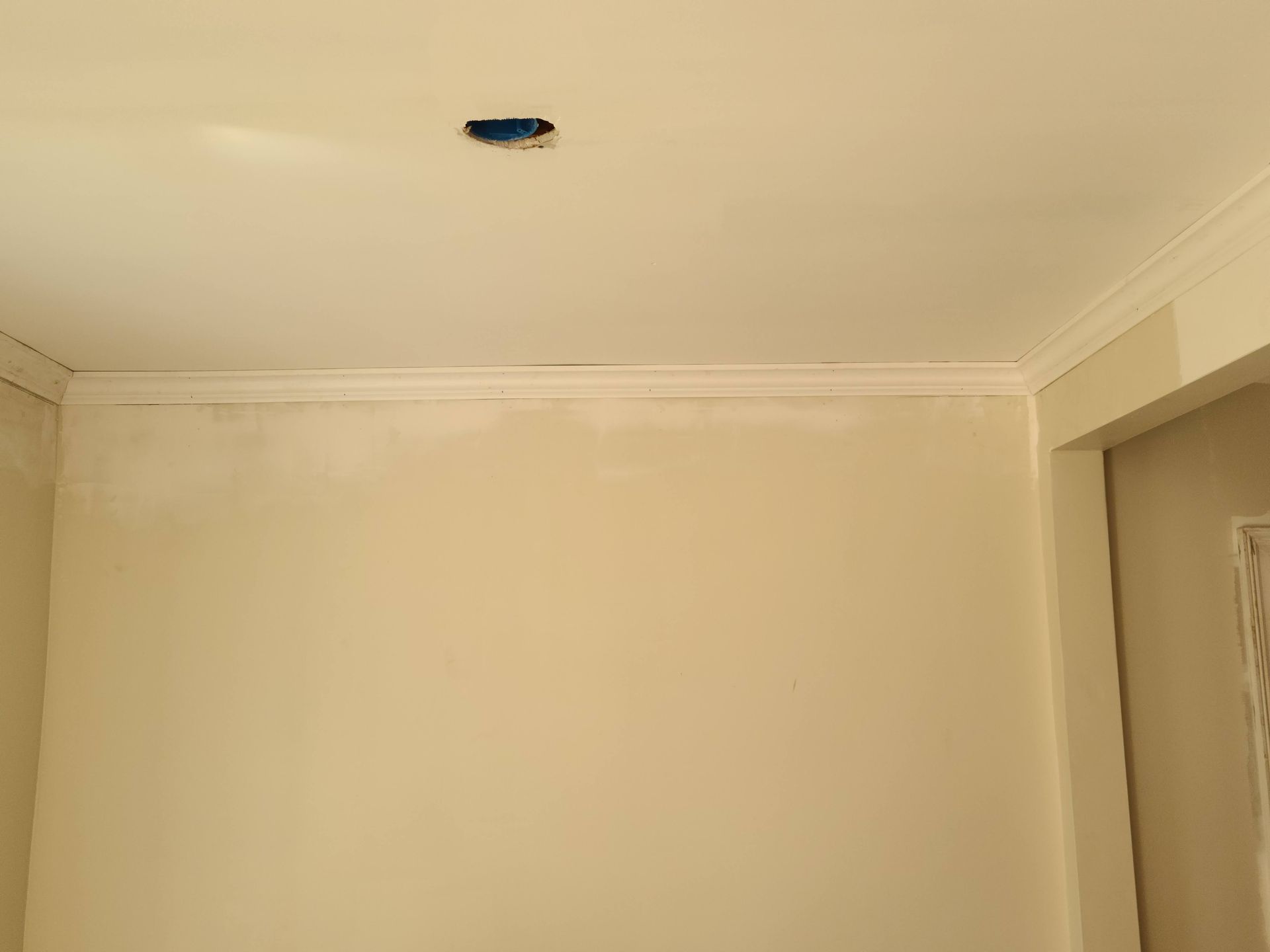 Off-white room with crown molding, electrical box, and partially painted wall.