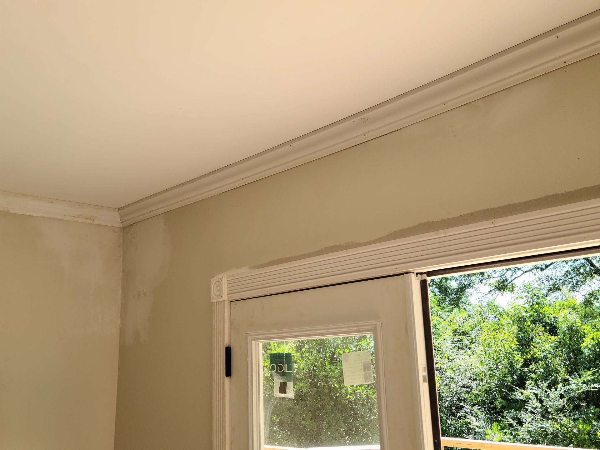 Interior view of a room with crown molding, wall, and a door frame looking out to greenery.