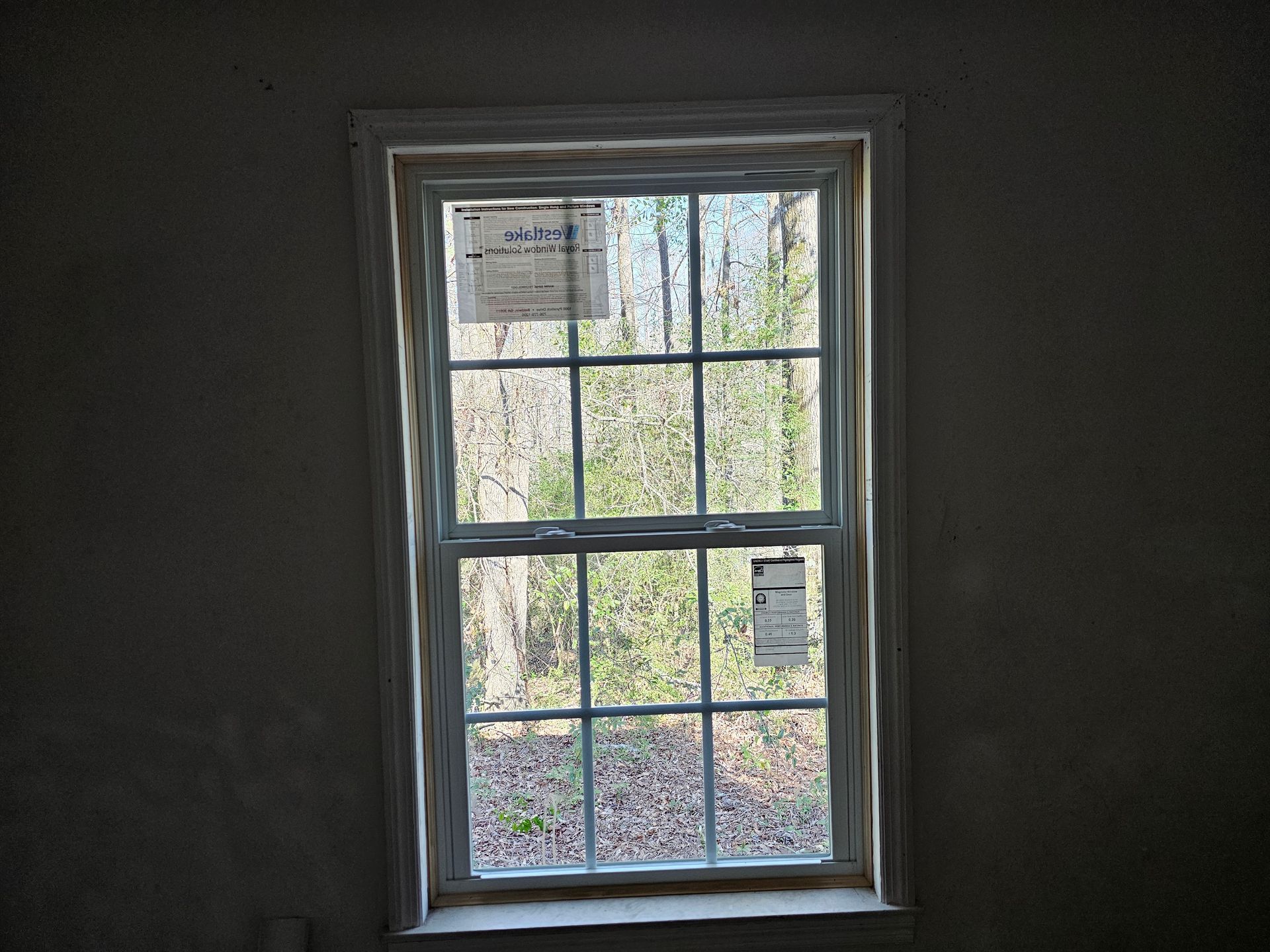 A rectangular window with white trim, framed by a light-colored wall, looks out onto a wooded area.