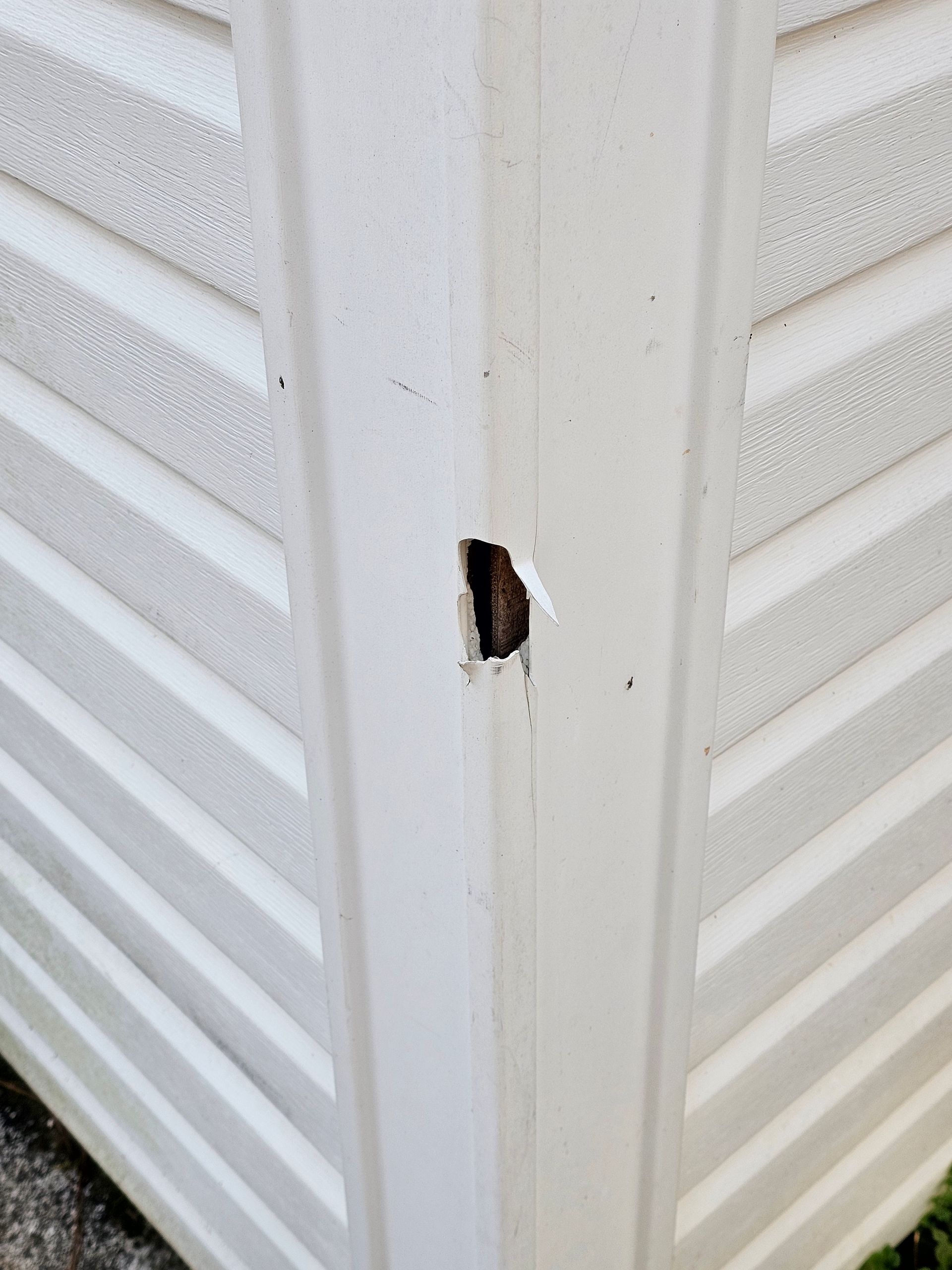 White vinyl siding corner with a small hole revealing wood underneath.