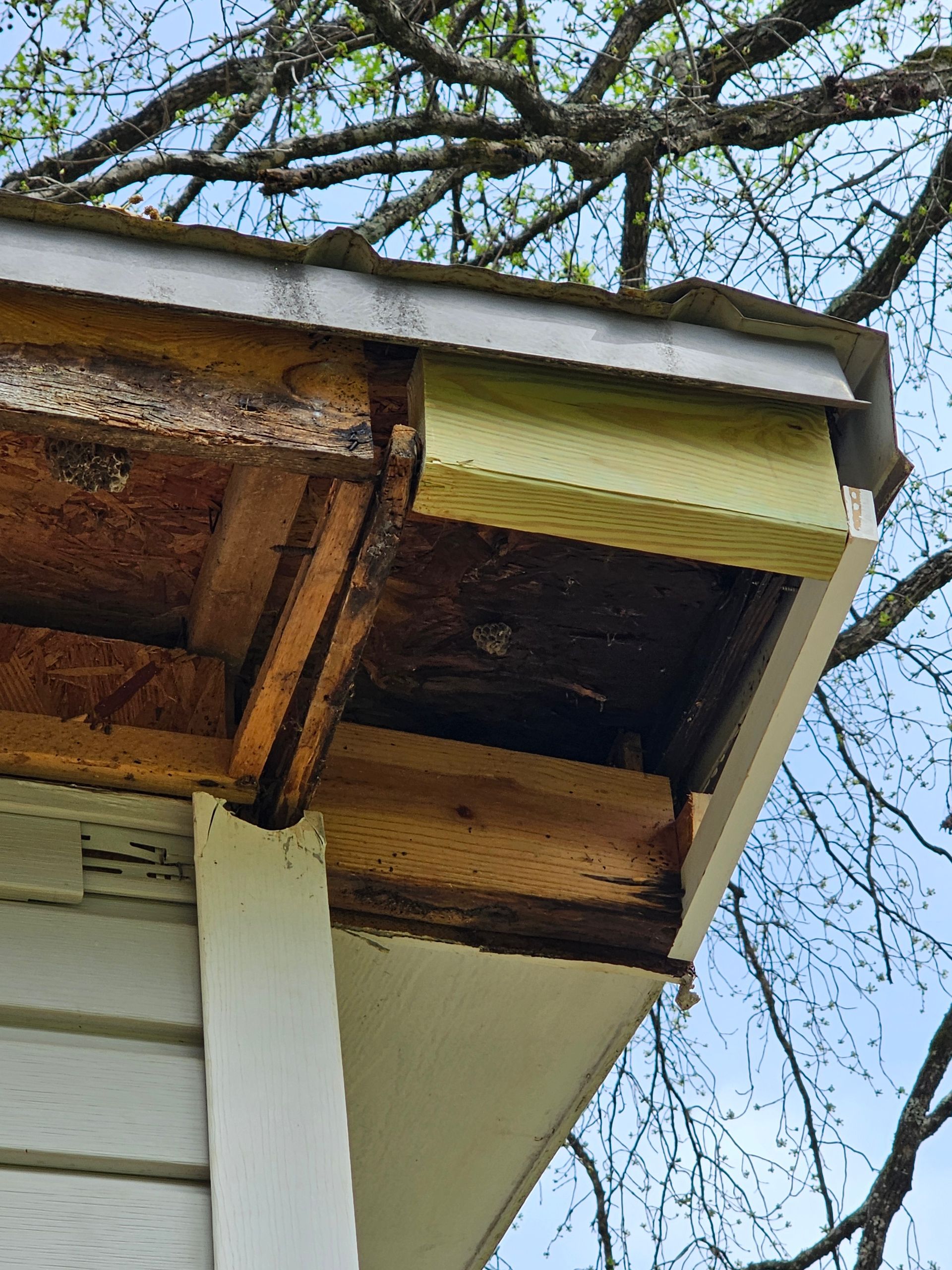 Damaged eaves on a house showing rotting wood and exposed insulation, with a white fascia board.