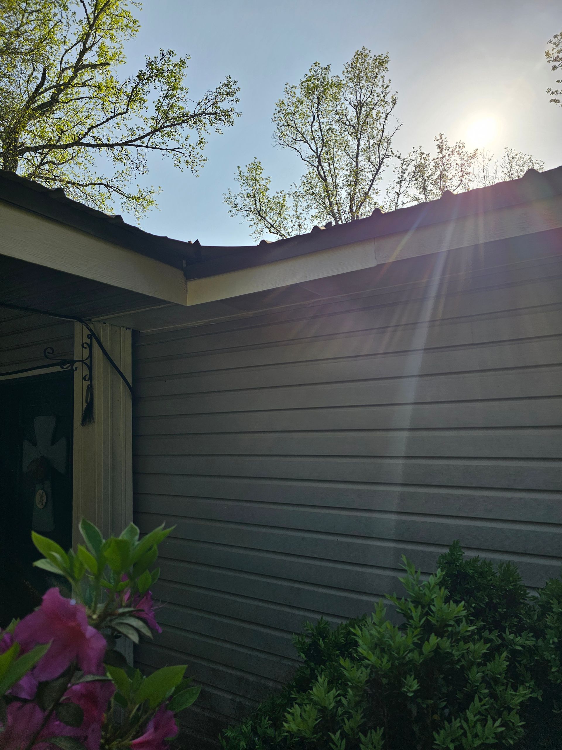 Exterior wall of a building with overhanging roof. Azaleas and other greenery frame the scene with sun shining.