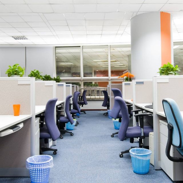 Rows of office cubicles with blue chairs and blue carpet.