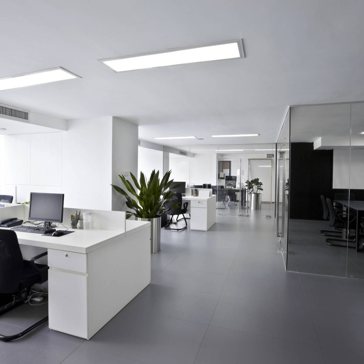 Modern office interior with white desks, plants, and bright lights.