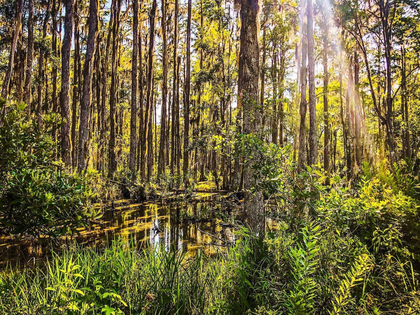 Hawthorne Trail in Gainesville, FL