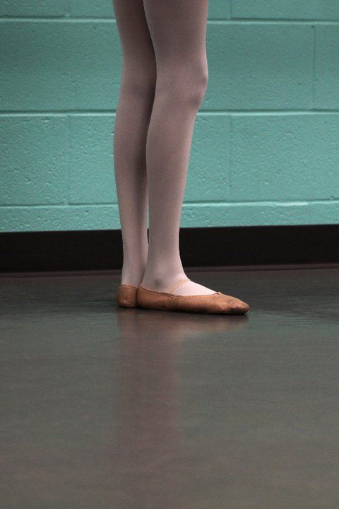 Sun Country Sports Center in Gainesville, FL: StayGainesville