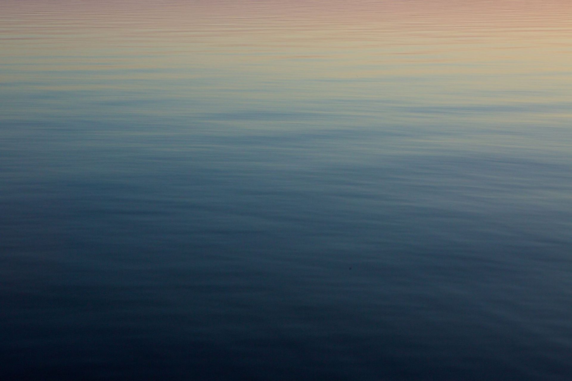 Sweetwater Wetlands Park: Photo Credit to Susannah Peddie from StayGainesville