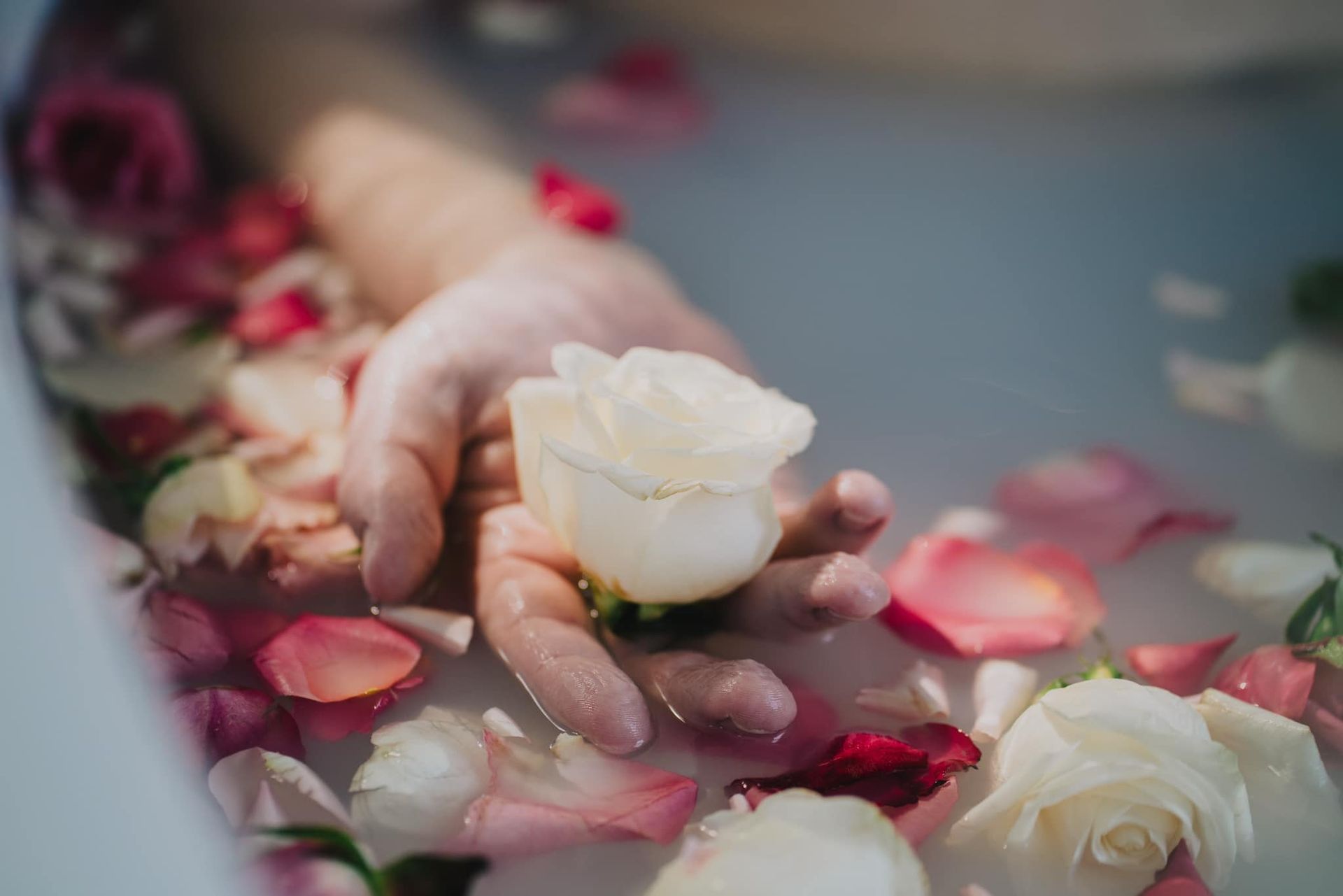 The Laurel Oak Inn in Gainesville FL