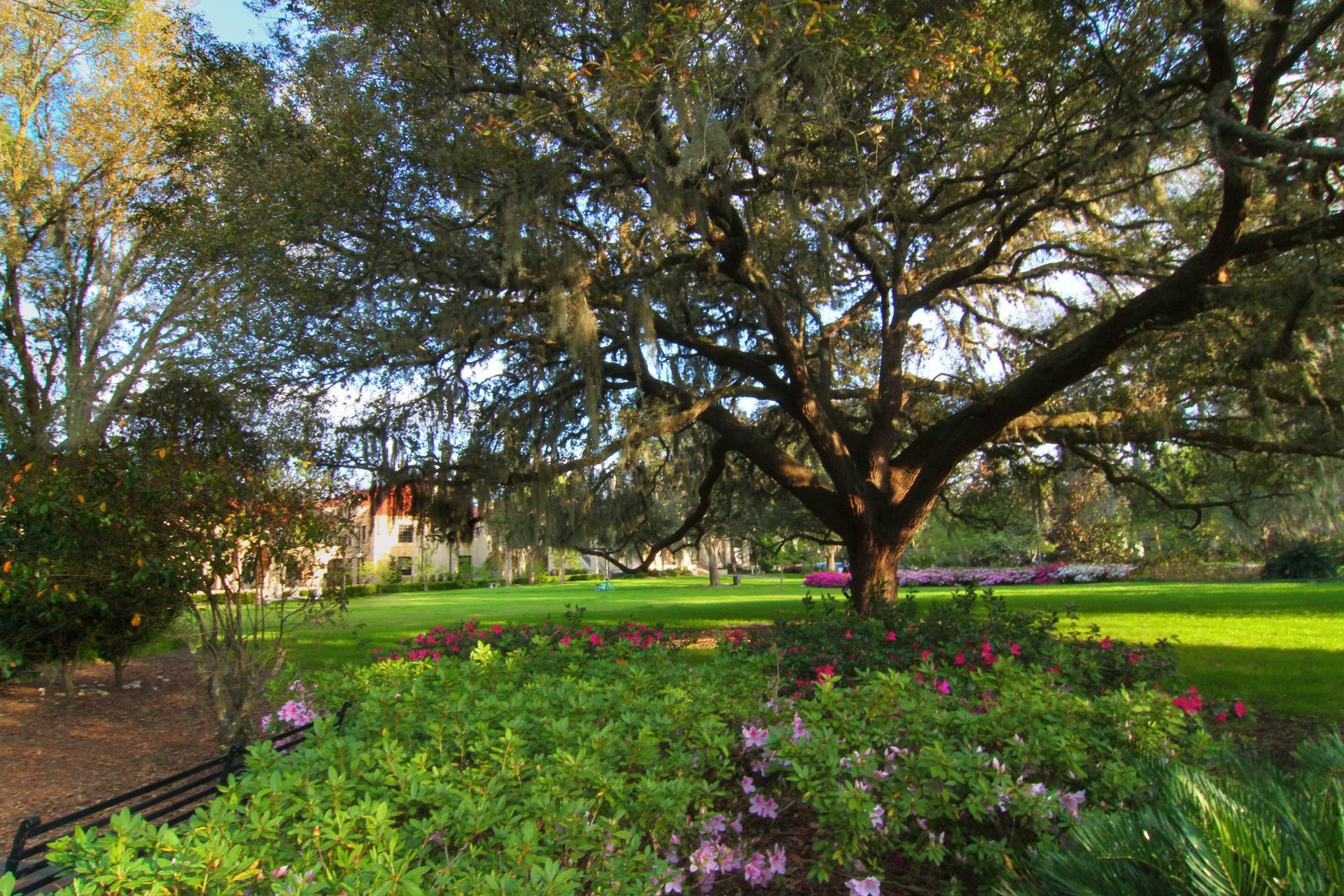 The Thomas Center; Downtown Ganesville
Photos taken by Susannah Peddie from StayGainesville