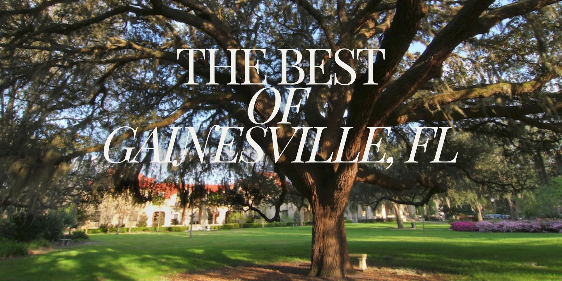 Things to do in Gainesville, FL