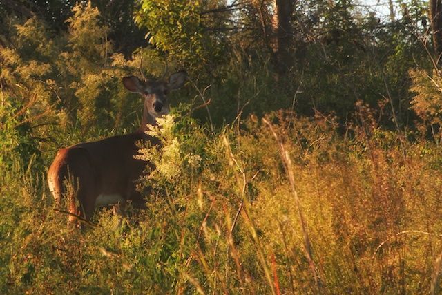 Hawthorne Trail in Gainesville, FL