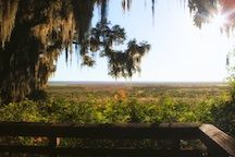 The view from the Alachua Lake overlook on the Hawthorne Trail.