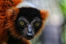 Santa Fe College Zoo