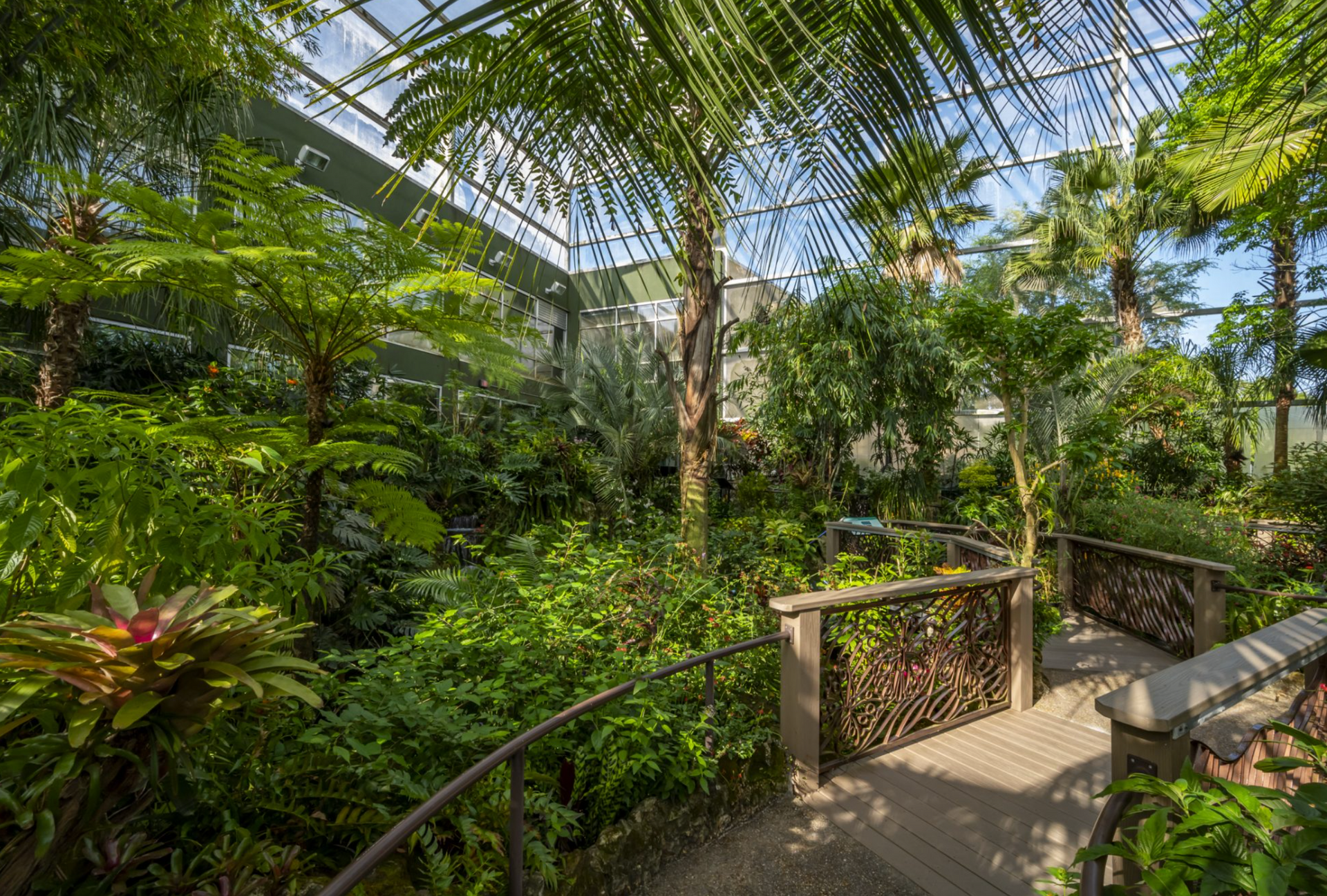 Budget Friendly - in Gainesville FL