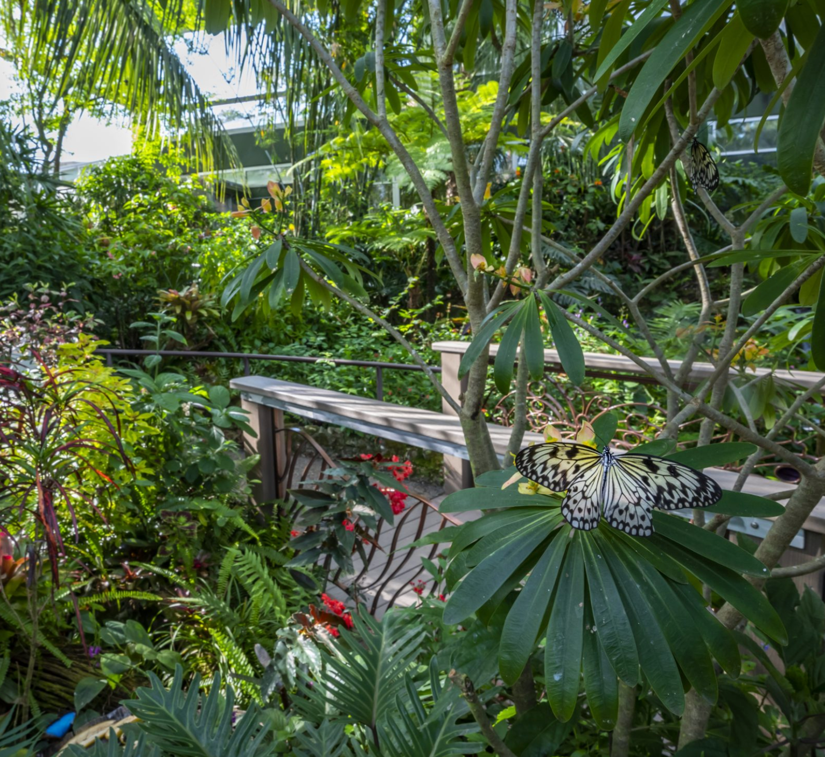 Things to do - in Gainesville FL