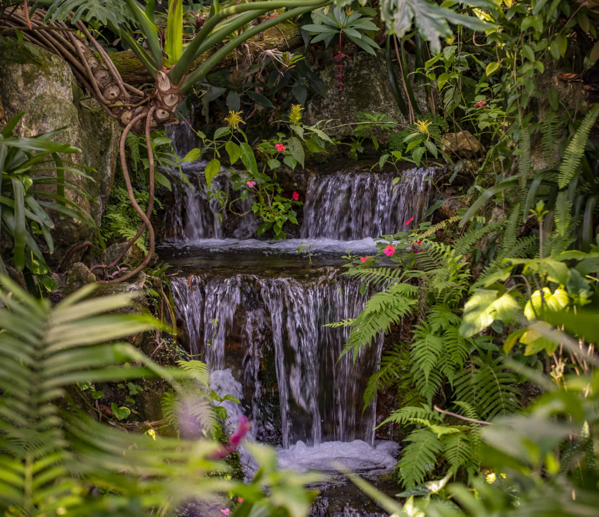 Things to do - in Gainesville FL