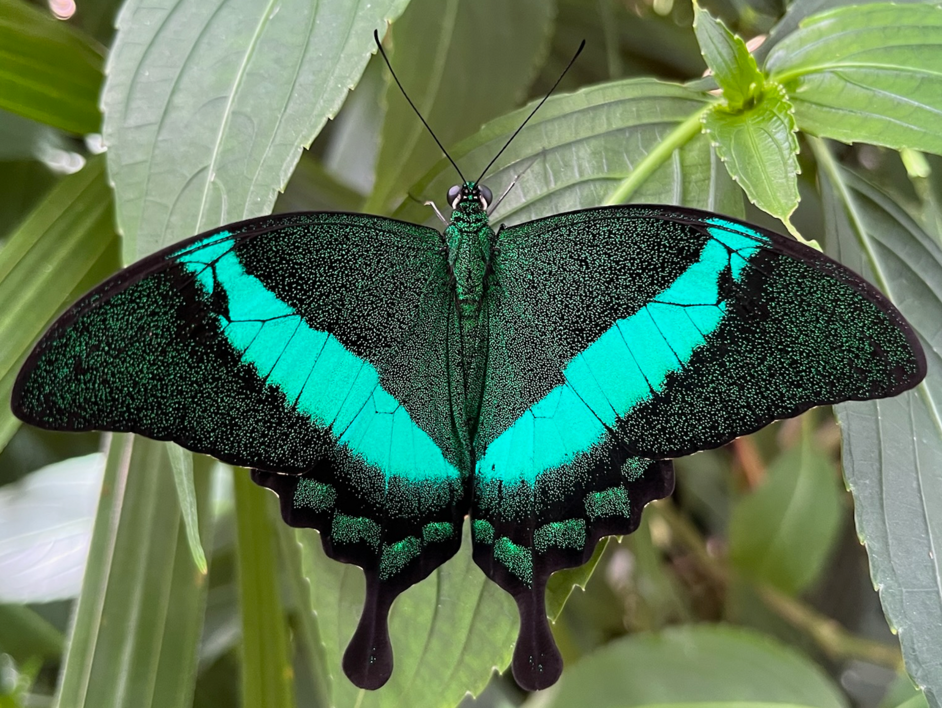 Things to do - in Gainesville FL