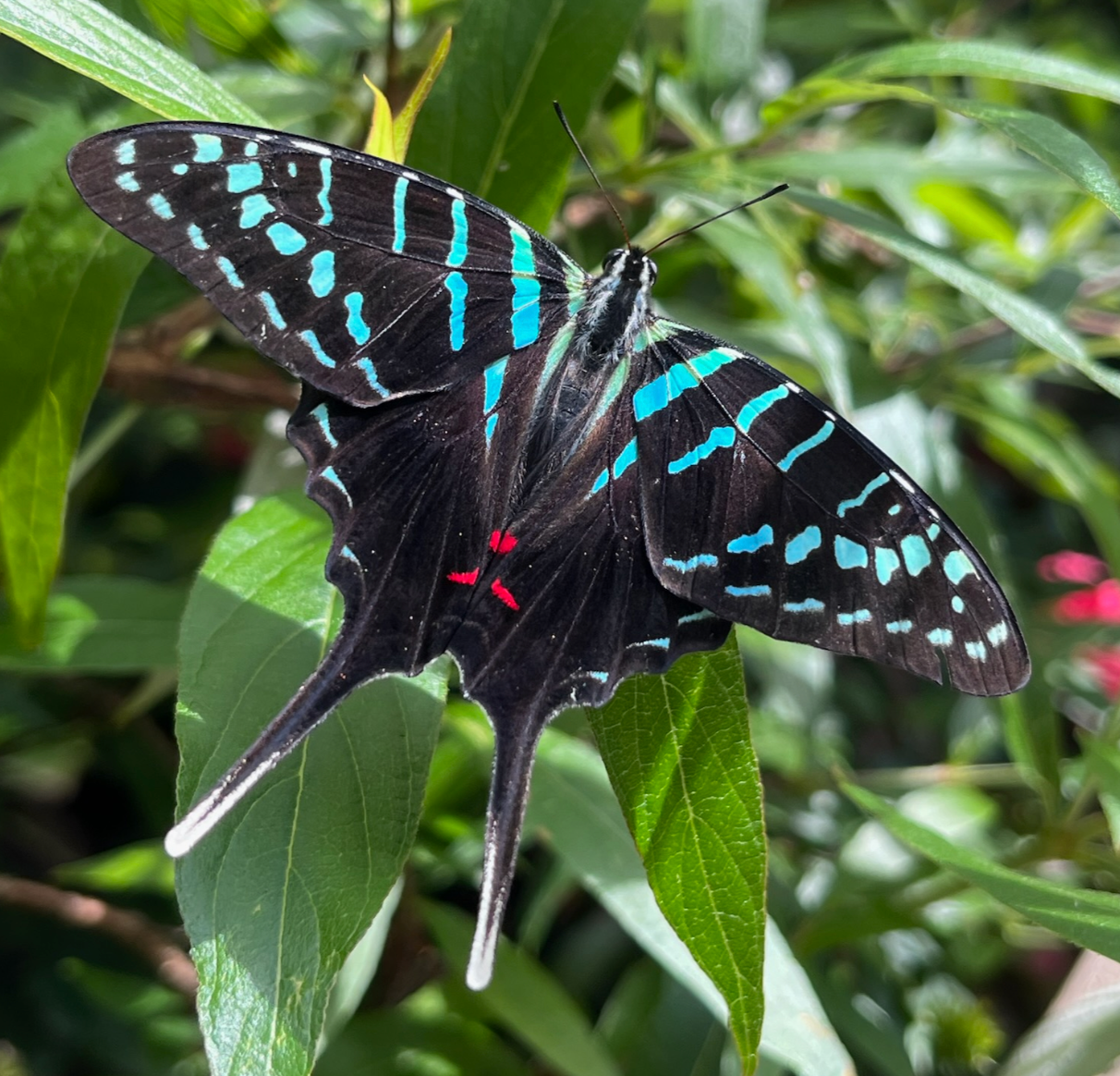 Things to do - in Gainesville FL