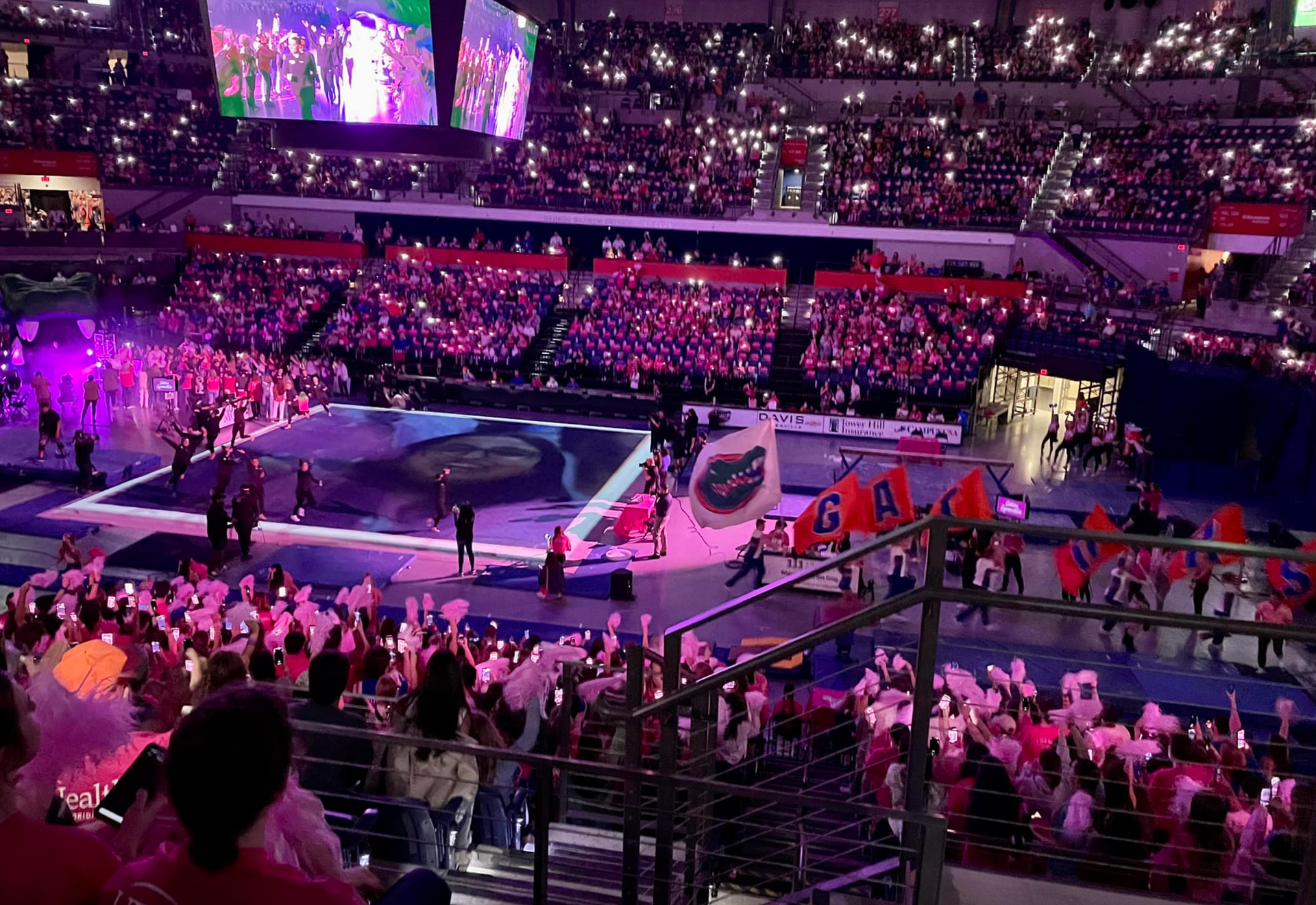 THE DYNAMIC WORLD OF GATOR WOMEN'S GYMNASTICS