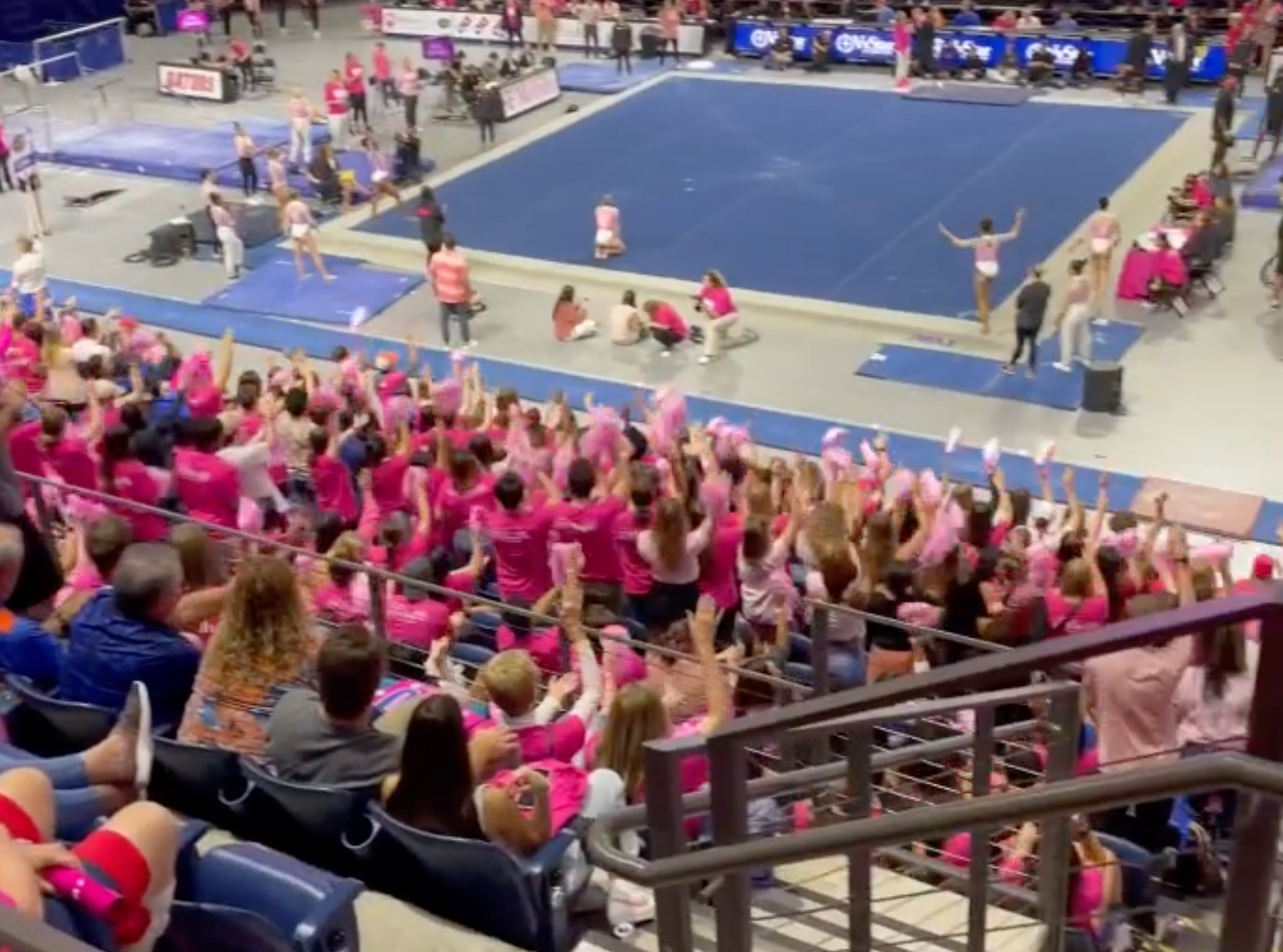 THE DYNAMIC WORLD OF GATOR WOMEN'S GYMNASTICS