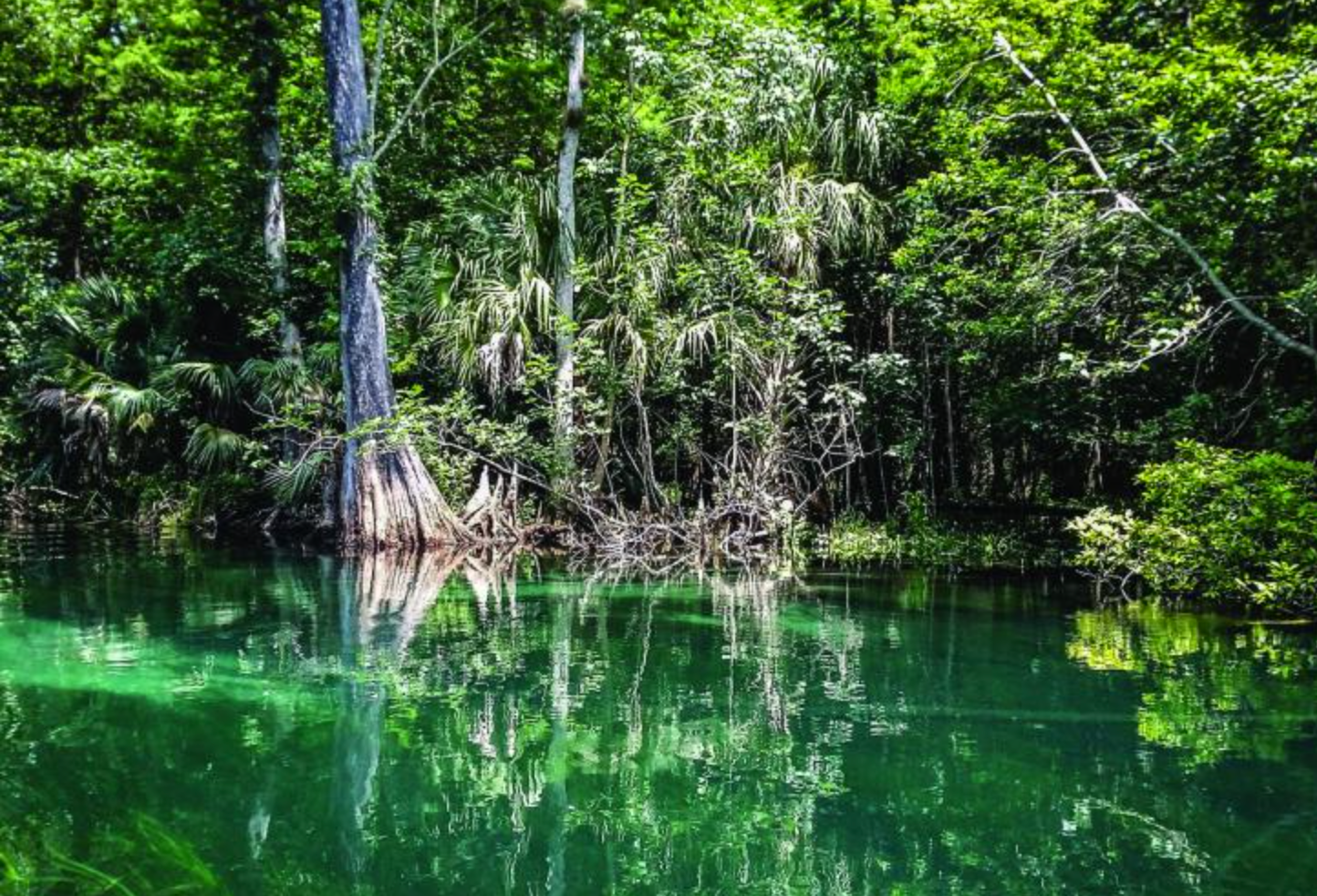 Ichetucknee Springs State Park: The perfect place to stay cool in the hot summer.