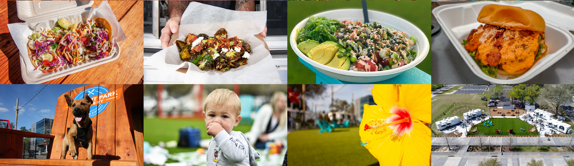 Gainesville's Newest Outdoor Food Fun