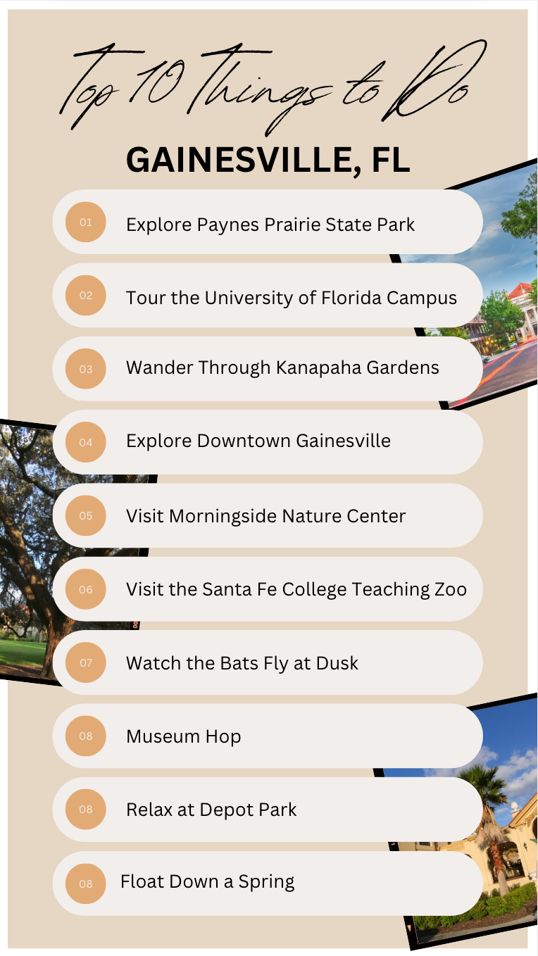 Top 10 Things to do in Gainesville, FL by StayGainesville