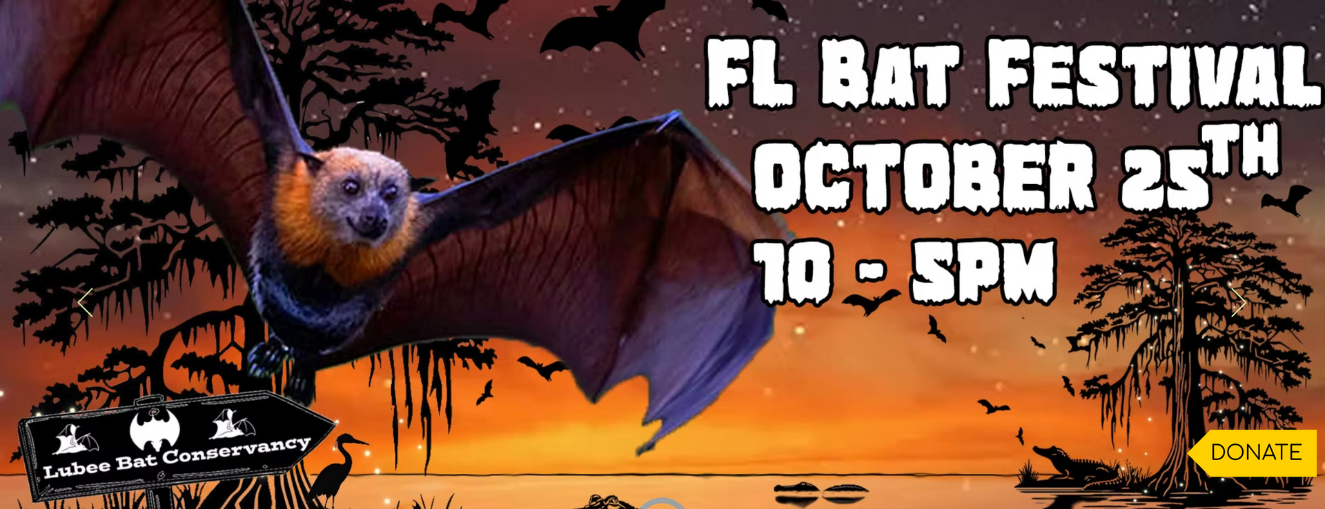 Lubbee Bat House in Gainesville, FL