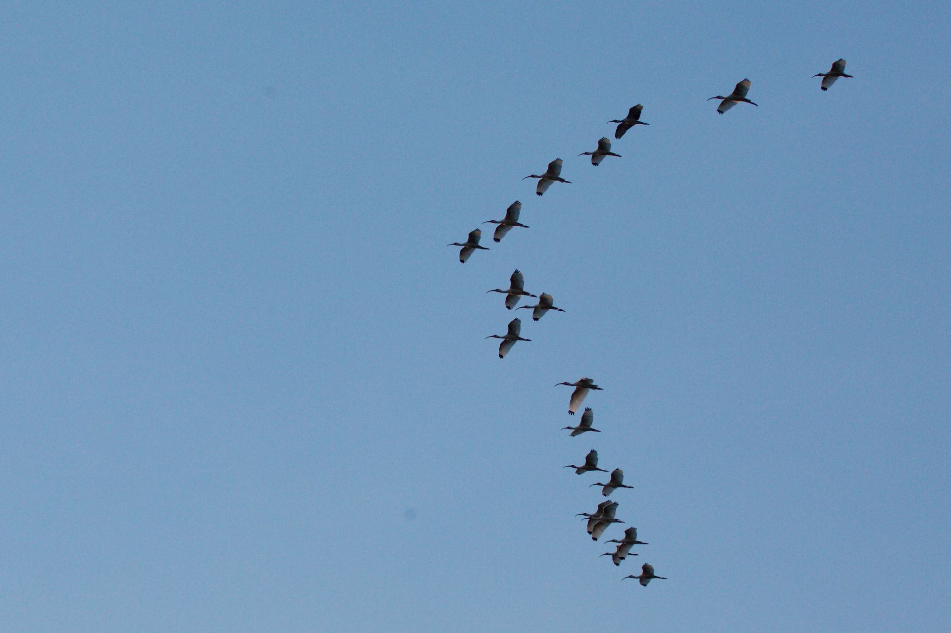 Sweetwater Wetlands Park