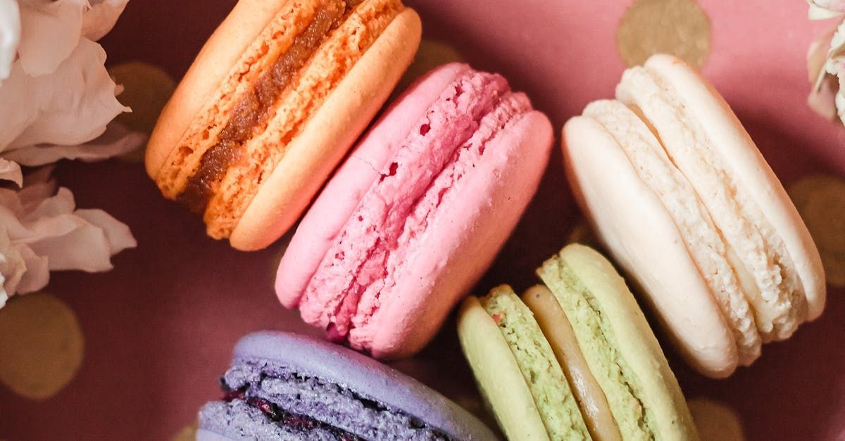 Le Macaron in Gainesville FL