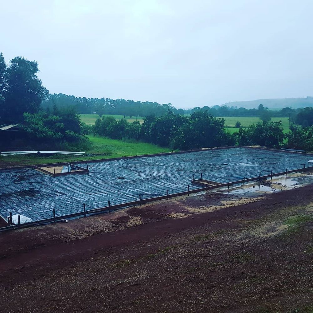 A Rainy Day With a Lot of Trees in the Background — TJ Concreting in Mullumbimby, NSW