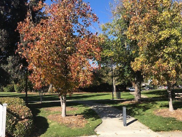 3492 Isle Royal Ct Gallery Images