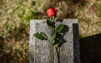 PRECISA DE QUALIDADE DO SEGURADO PARA RECEBER PENSÃO POR MORTE ? PRECISA DE QUALIDADE DO SEGURADO PARA RECEBER PENSÃO POR MORTE ?
Saiba mais